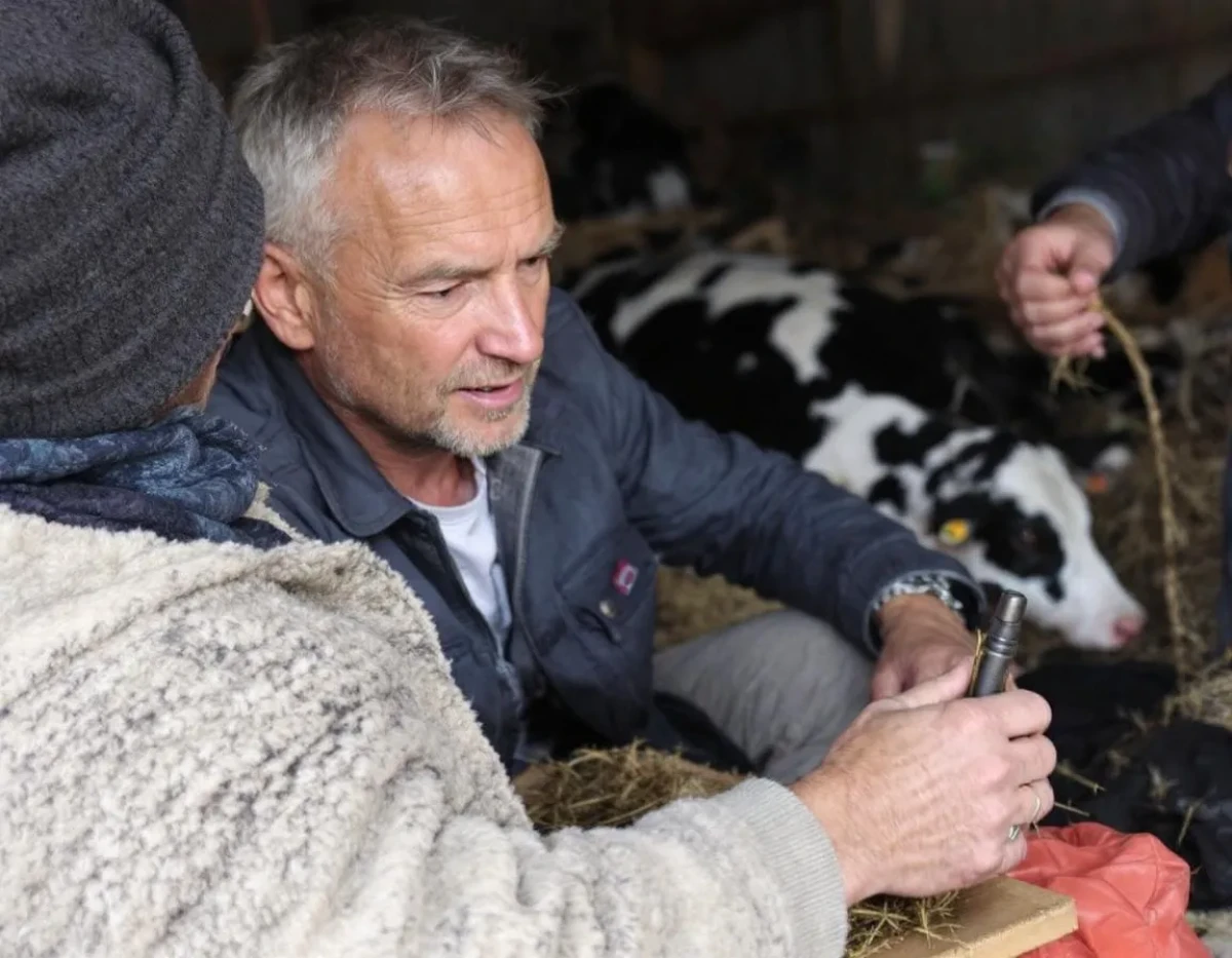 L'assurance multirisque agricole : un bouclier face aux aléas de l'exploitation